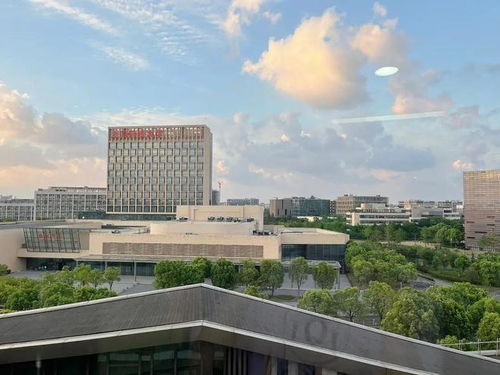西安电子科技大学与上海科技大学对比分析