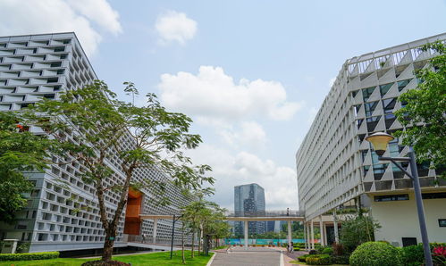南科大内地高校第8，知名985内地排第66，这个新排名榜单太离谱？