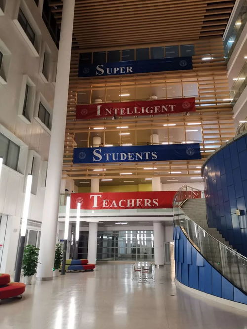 为什么推荐你选择上海科技大学信息学院读研