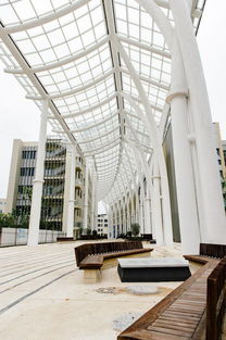 比肩清北 揭秘上海科技大学为何如此令人瞩目